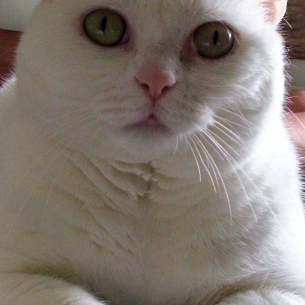 Meet your Posher, Debra